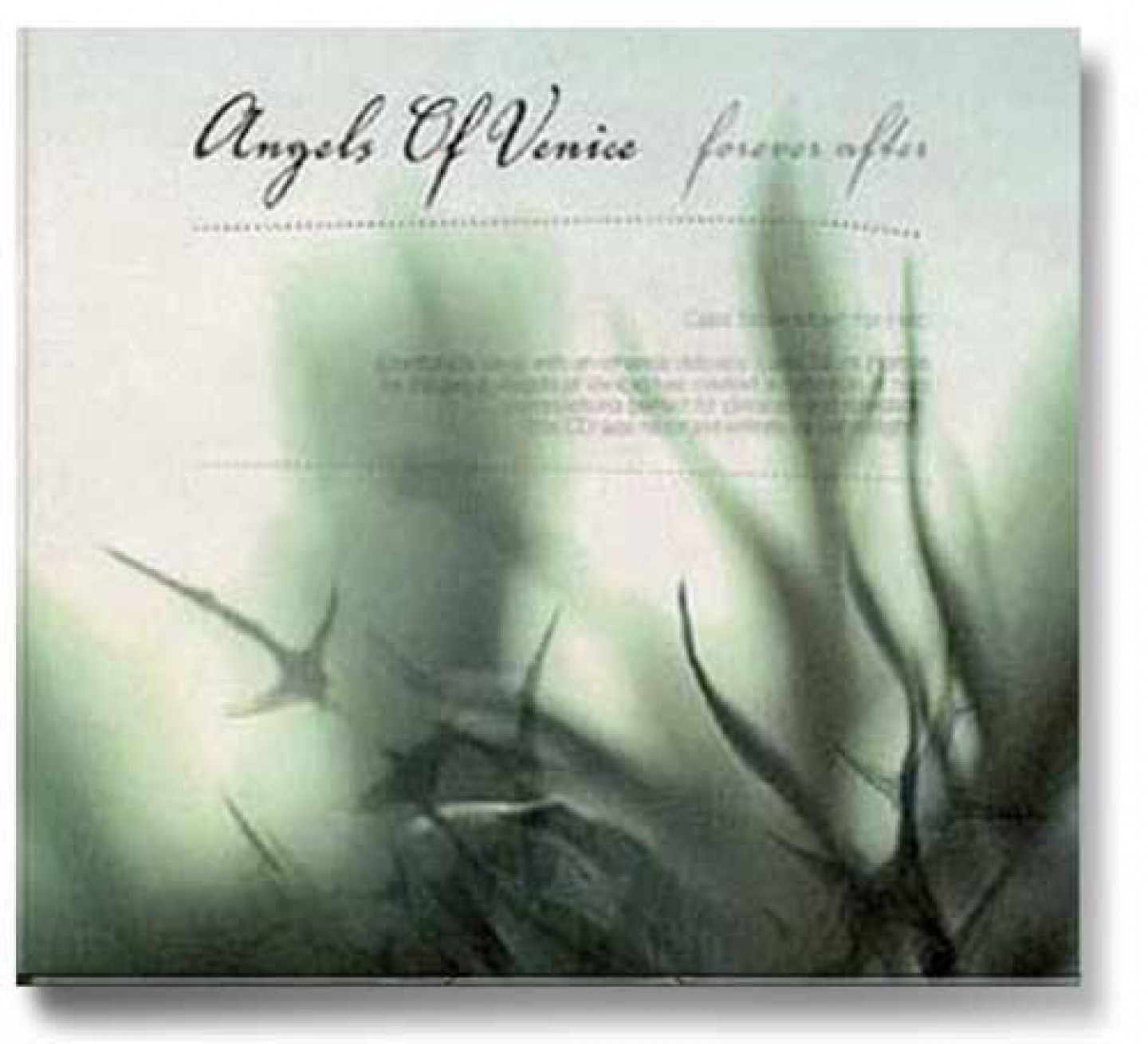 a053_angels_of_venice_forever_after