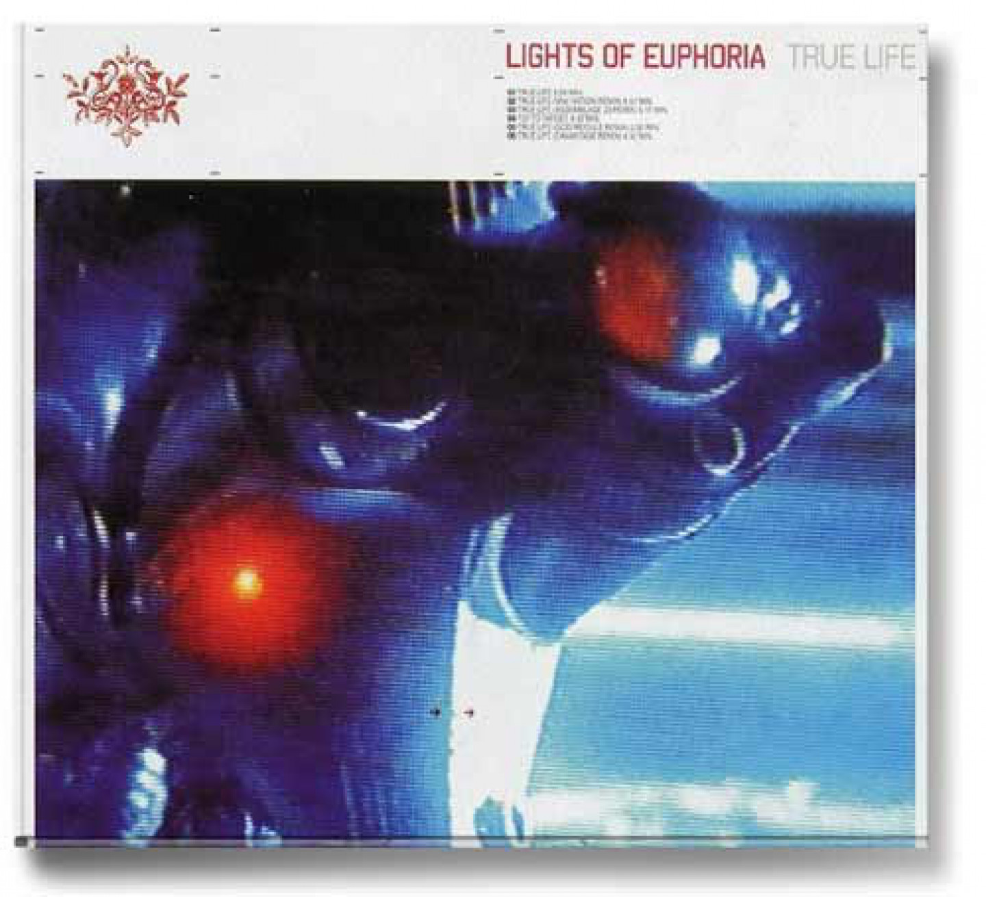 a058_light_of_euphoria_true_life