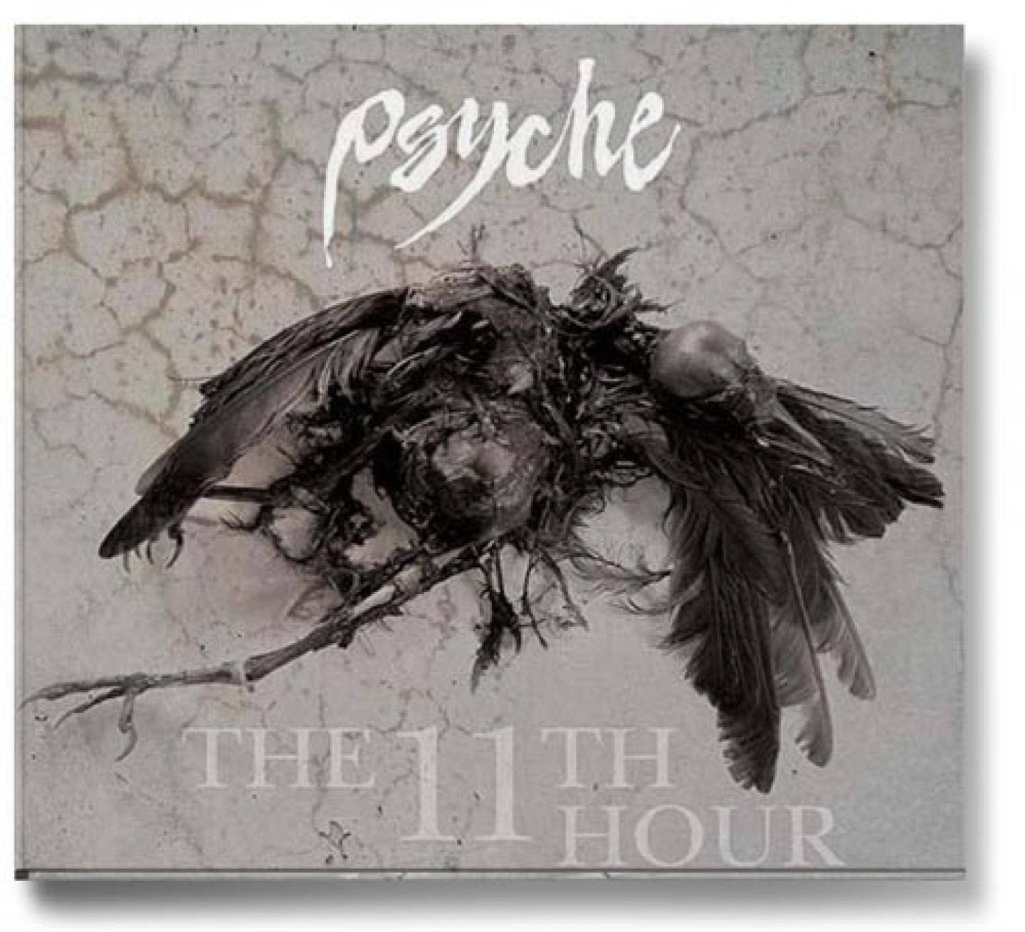 a080psyche_the_11th_hour